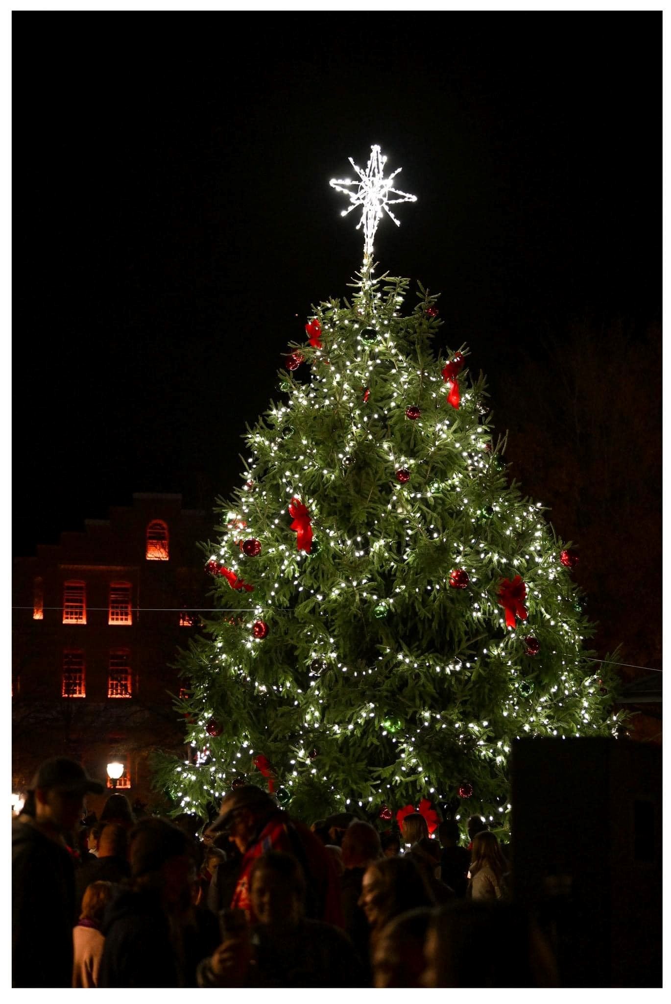 2023 Tree Lighting Event 3