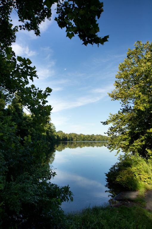 Sarah Terry Walking Trail with a view of Wilcks Lake